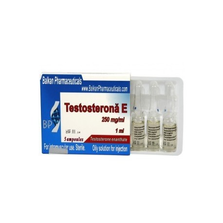 Testosterona E Balkan Pharma (250 mg/ml) 1 ml