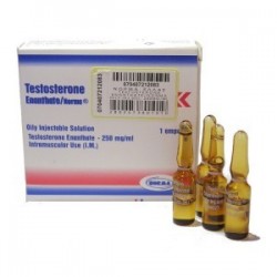 Testosteron Enanthate Norma Hellas